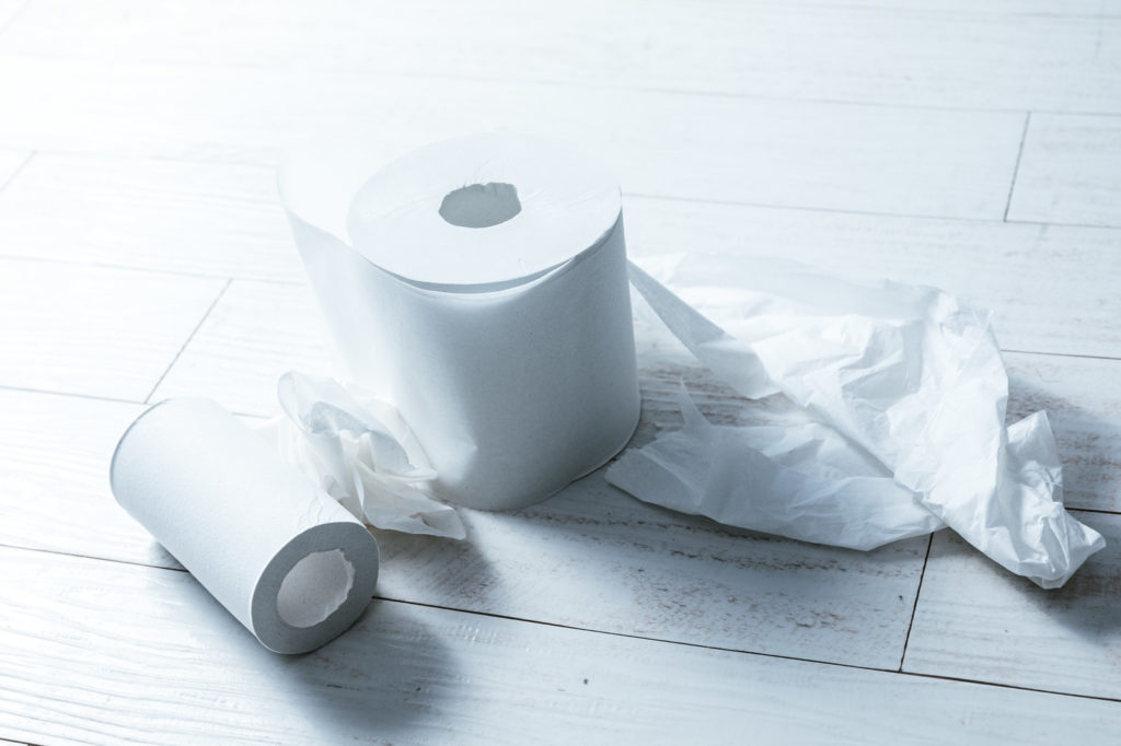 Toilet papar