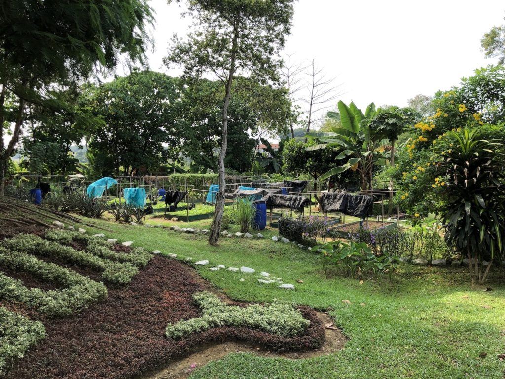 local_life_20